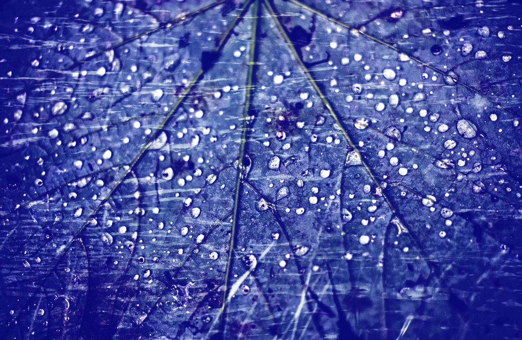 Wasser in Bewegung - Blaue Serie