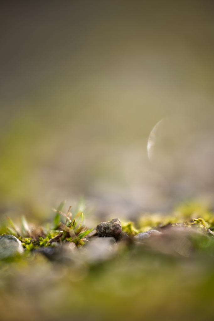 Grüne Landschaft - eine zweite Welt