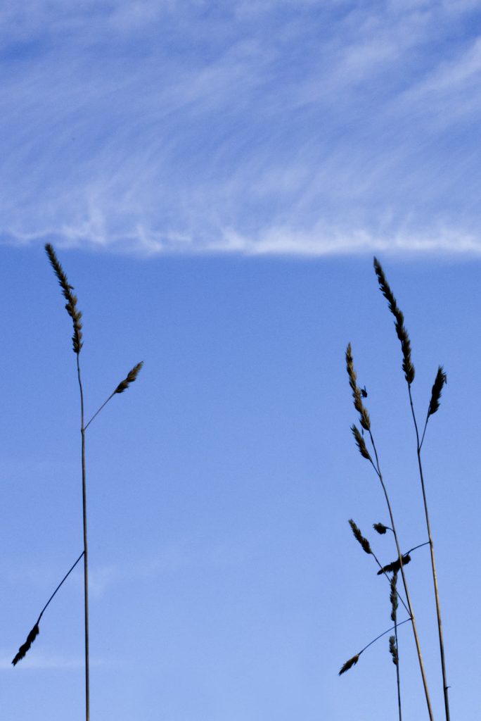 natürliche Strukturen und ihre Ordnung