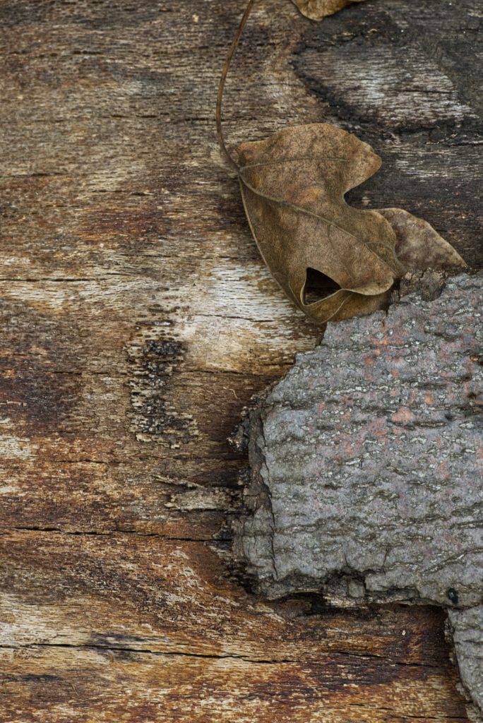 Strukturen und Ordnung